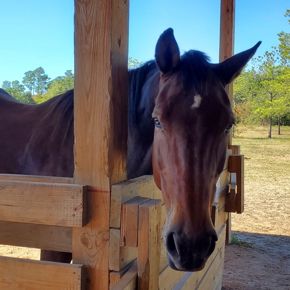 I'm RKB! - Picture 8 of 9